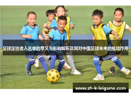 足球足协准入名单的意义与影响解析及其对中国足球未来的推动作用