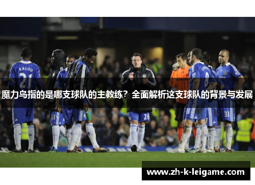 魔力鸟指的是哪支球队的主教练？全面解析这支球队的背景与发展